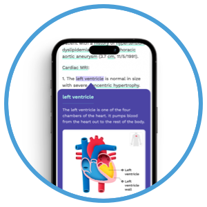Phone app icon